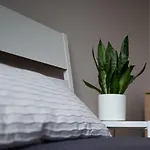 Good Vibes Apartment