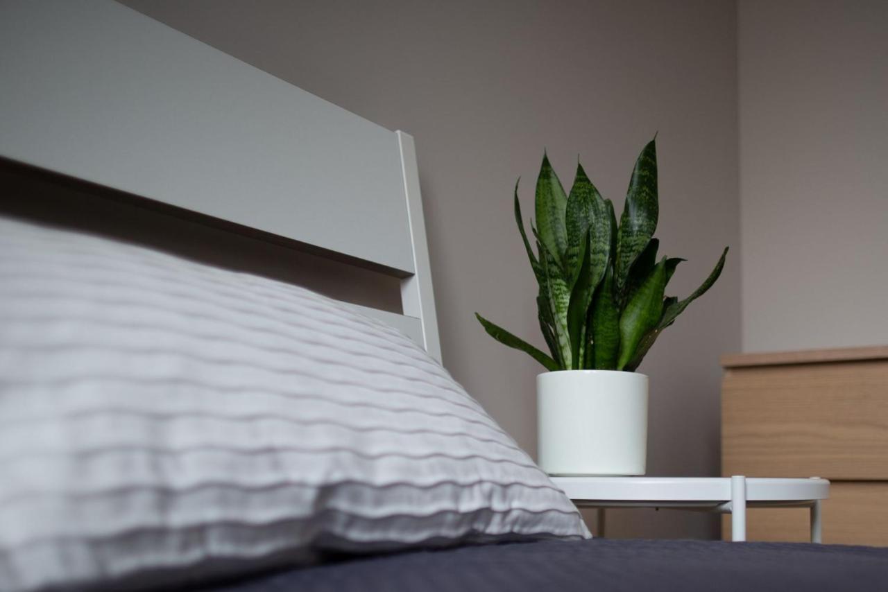 Good Vibes Apartment Lodz (Lodz)
